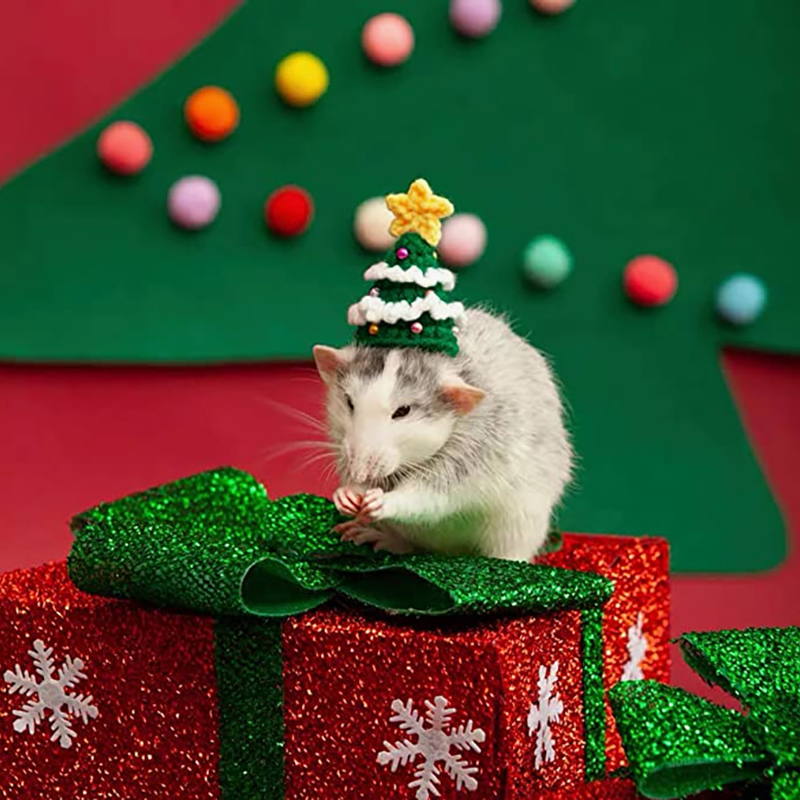 Hand Woven Pet Christmas Hat D - Santa Hat Plush avaliação e preço