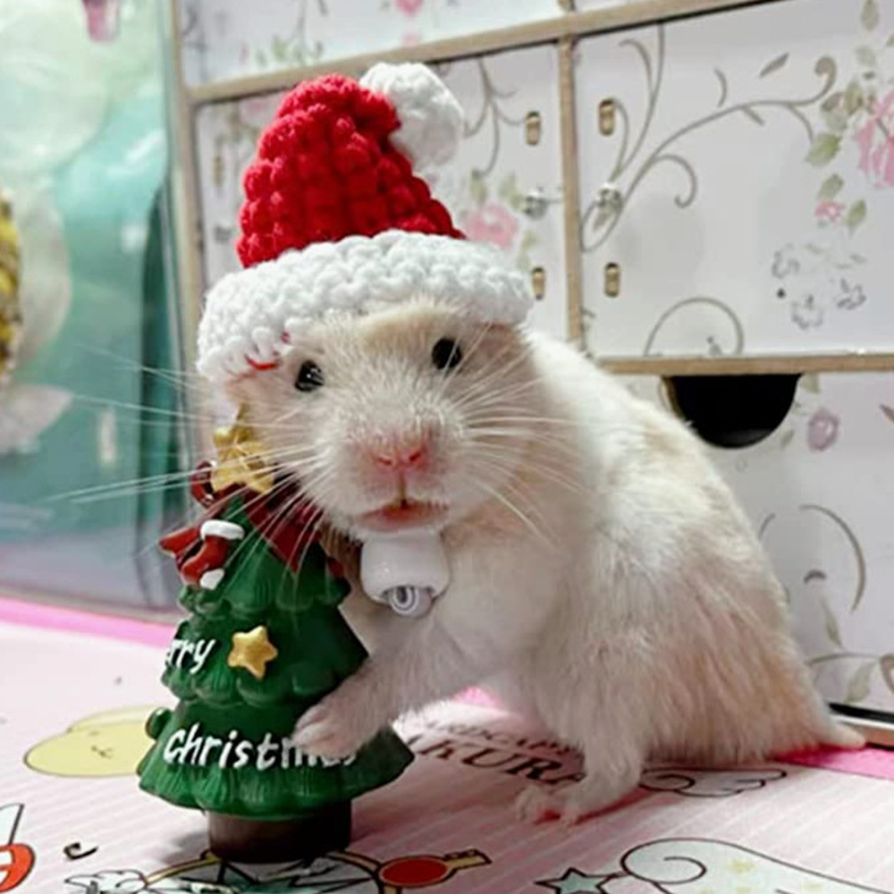 Hand Woven Pet Christmas Hat D - Santa Hat Plush avaliação e preço