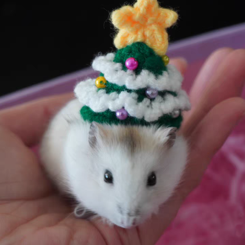 Hand Woven Pet Christmas Hat D - Santa Hat Plush avaliação e preço
