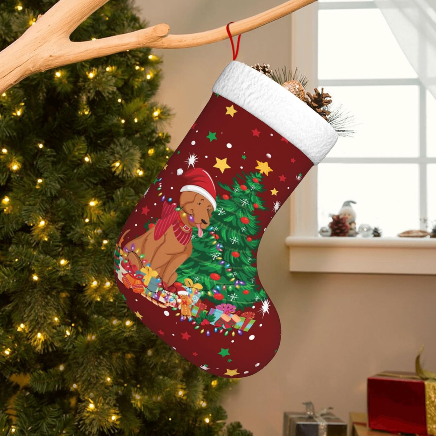 Christmas Dog Light Design 17. - Christmas Stocking Hanging avaliação e preço
